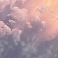 User377