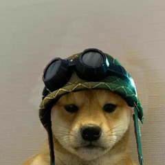 Doggo Trooper