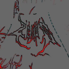 𝐙𝐄𝐄𝐍𝐃𝐙