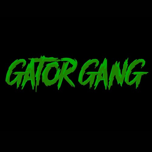 GATOR GANG 🐊’s avatar