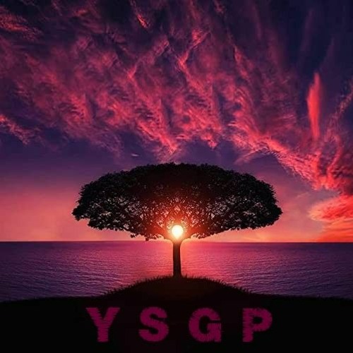 YSGP Ekipa’s avatar