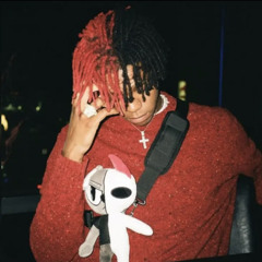 daijontop