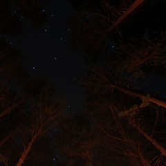 Brighter In The Dark