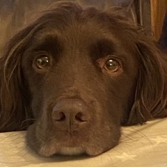 Halloween House mix Pt2