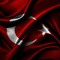 ILHAN