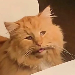 gimok