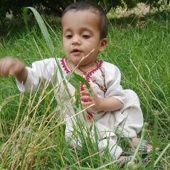 نصیب اللہ نصیب اللہ