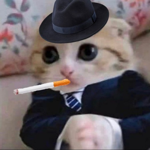Cat Mafia’s avatar