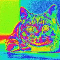 CATWO2CB