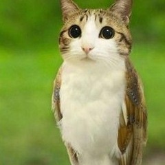 hackinanutshell