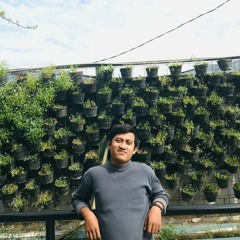 Luthfi