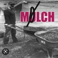 MØLCH
