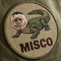 Mis'Co-Iskra(original mix)