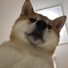 Fattybeef