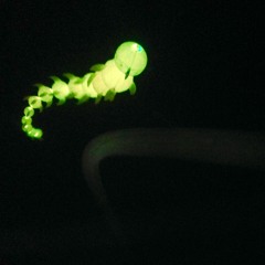 STROBO // RÂD // Betriebsschluss