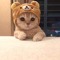 DrippyMateo love Roblox and Cats (trippy redd fan)