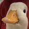 Quack-Quack