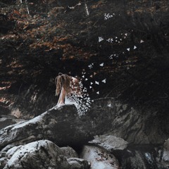 Dana-inka