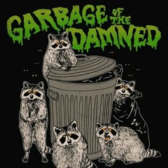 Compost Raccoon