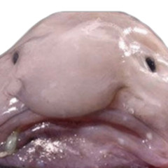 izGabe