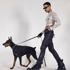 Basilxcx2