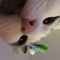itsjustbee
