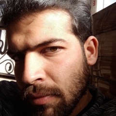 Hassan Adel