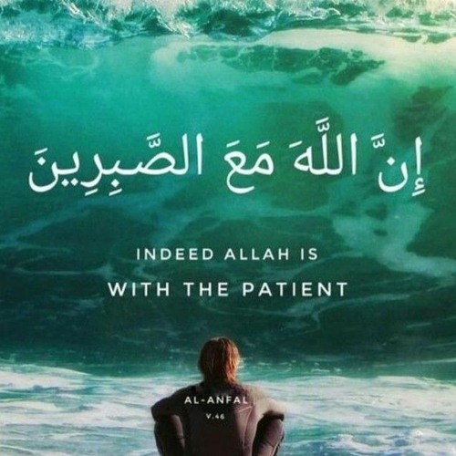 Stream ZZZ music Listen to songs, albums, playlists for free on