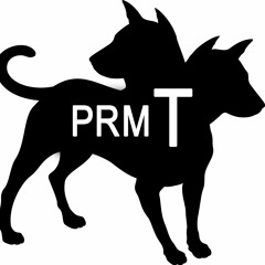 p4ram1litary #team
