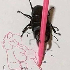 4628