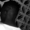 Amaral_profa