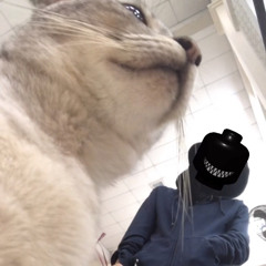 srrytllwhlkm