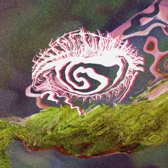 Sungazer