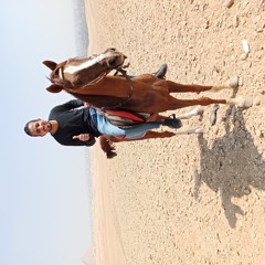 Ahmed Zezo