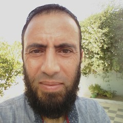 محمد أمين بن حميدة