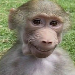 Jake le ver de terre