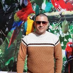 مصطفى الديشة