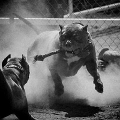 Илья Владимирович