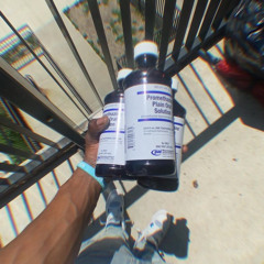 Legin 2x