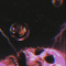 ODDWRLD BAGGZ