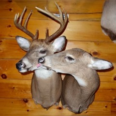 ANTLERZ