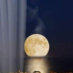 Dina Yasser Elsharabasy