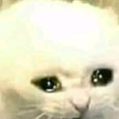 puple