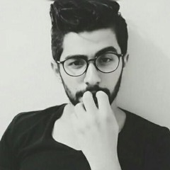 Ahmed Zizo 13