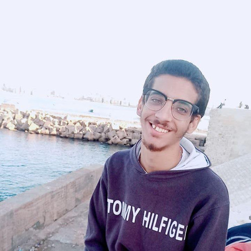 Fady Sameh’s avatar