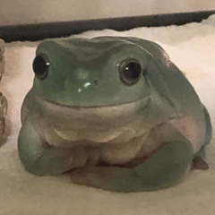 eeeee