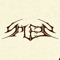 SPLEEN