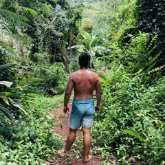 Heimana Paparai