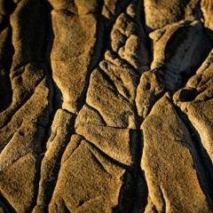 Room to Grow Records