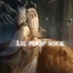 Lil poop sock